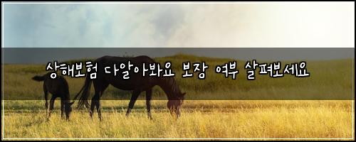 상해보험 다알아봐요  보장 여부 살펴보세요