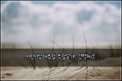 ์ด๋ฆฐ์ด์ํด๋ณดํ ๋ณดํ์ค๊ณ ๊ฒฌ์ ์ฒดํฌ