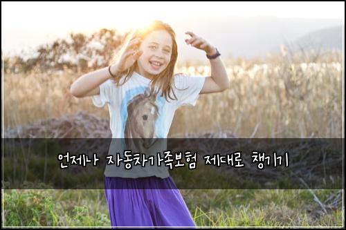 언제나 자동차가족보험 제대로 챙기기