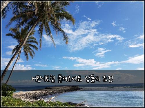 어린이보험 둘러보세요  상품의 조건