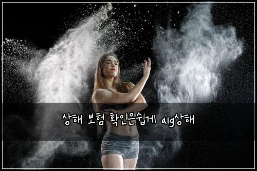 상해 보험 확인은쉽게  aig상해