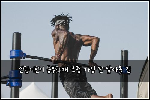 신한어린이 동부화재 보험 가입 전 알아볼 점