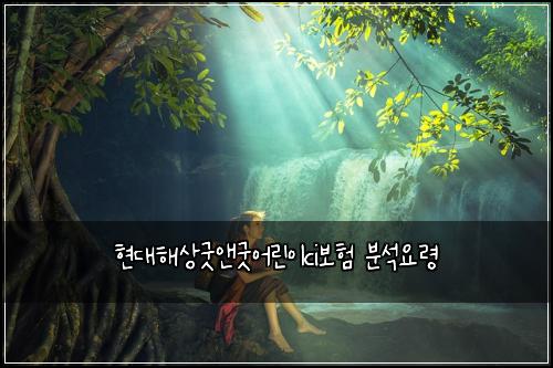현대해상굿앤굿어린이ci보험 분석요령 