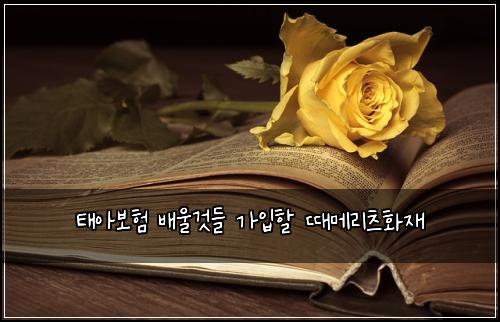 ํ์๋ณดํ ๋ฐฐ์ธ๊ฒ๋ค ๊ฐ์
ํ ๋๋ฉ๋ฆฌ์ธ ํ์ฌ