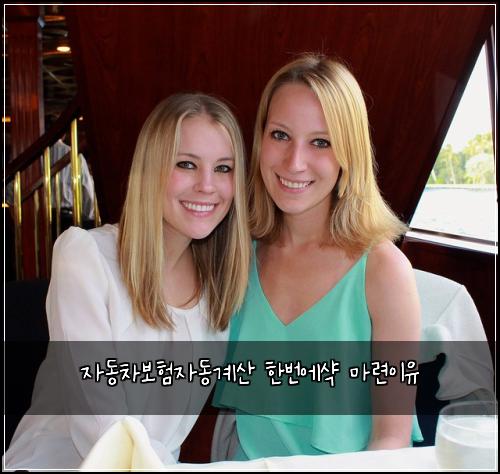 ์๋์ฐจ๋ณดํ์๋๊ณ์ฐ ํ๋ฒ์์ฅ ๋ง๋ จ์ด์