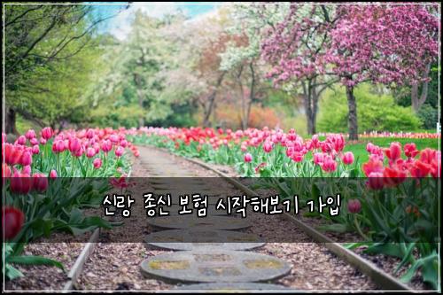 신랑 종신 보험 시작해보기  가입