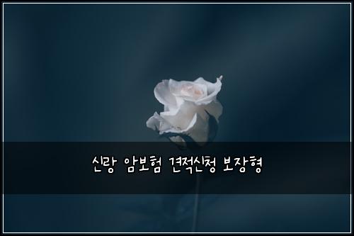 ์ ๋ ์๋ณดํ ๊ฒฌ์ ์ ์ฒญ ๋ณด์ฅํ