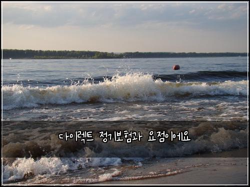 다이렉트 정기보험과 요점이에요