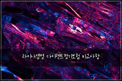 라이나생명 다이렉트정기보험 비교사항 