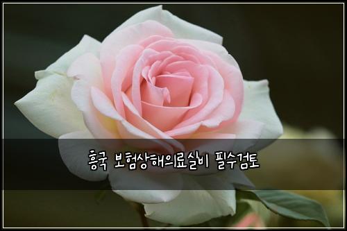 흥국 보험상해의료실비 필수검토
