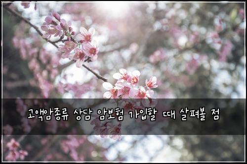 고액암종류 상담 암보험 가입할 때 살펴볼 점