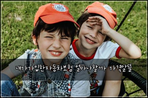 ๋ด๊ฐ๊ฐ์
ํ์๋์ฐจ๋ณดํ ์ผ๋ง๋ํ ๊น ๊ฐ๊ฒฉ์๋ฐ
