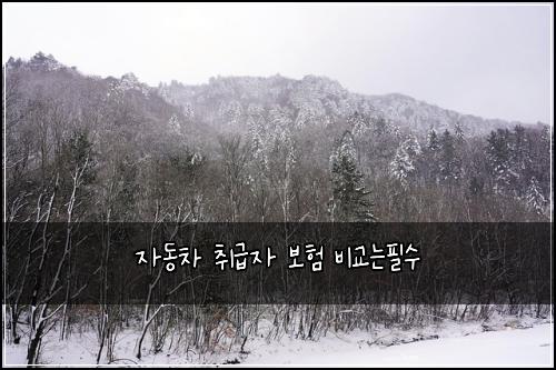 ์๋์ฐจ ์ทจ๊ธ์ ๋ณดํ ๋น๊ต๋ํ์