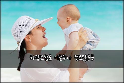 차량보험료 이럴수가 정보많은곳