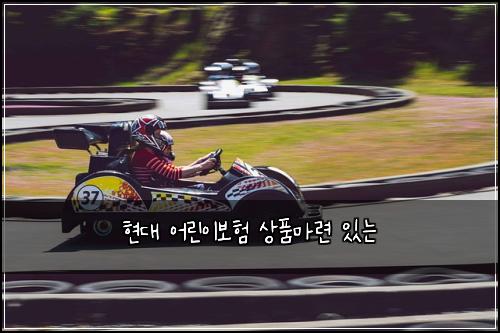 현대 어린이보험 상품마련  있는