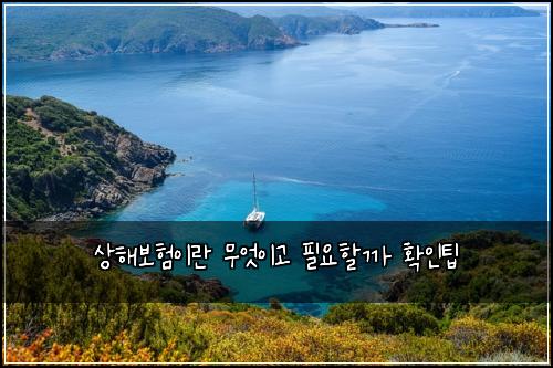 μν΄λ³΄νμ΄λ 무μμ΄κ³ νμν κΉ νμΈν