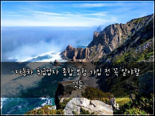 자동차 취급업자 종합 보험 가입 전 꼭 알야할 것들