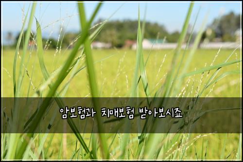 ์๋ณดํ๊ณผ ์น๋งค๋ณดํ ๋ฐ์๋ณด์์ฃ