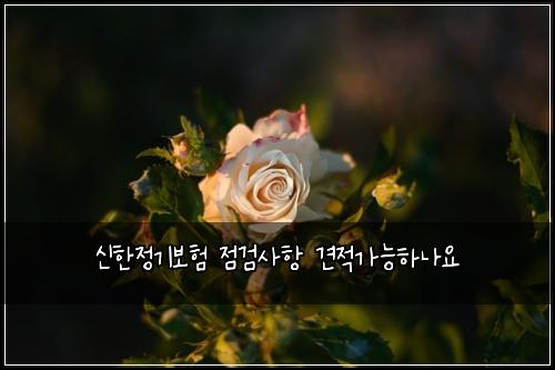 신한정기보험 점검사항  견적가능하나요
