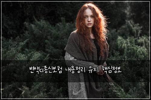 변액ci종신보험 내용정리  유지 핵심정보