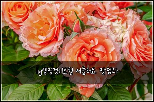 lig์๋ช
์ ๊ธฐ๋ณดํ ์๋๋ฌ์ ์ฅ์ ๊ณผ