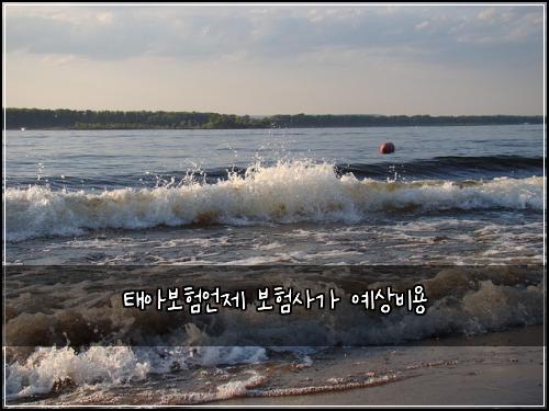 태아보험언제 보험사가 예상비용