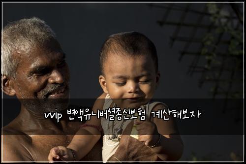 vvip 변액유니버셜종신보험 계산해보자 