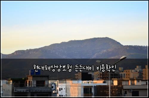 ํ๋ํด์์๋ณดํ ๋ ๋ ๋๋น ๋น์ฉํ์ธ