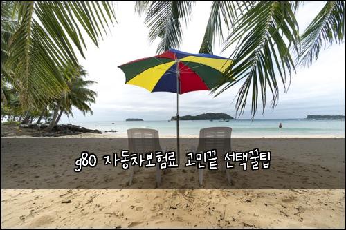 g80 자동차보험료 고민끝 선택꿀팁