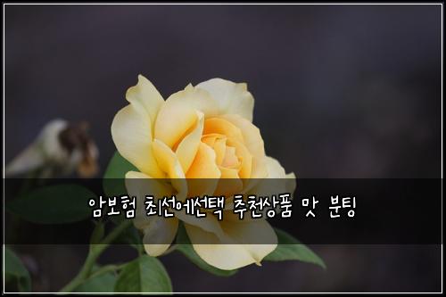 암보험 최선에선택  추천상품 맛 분팅