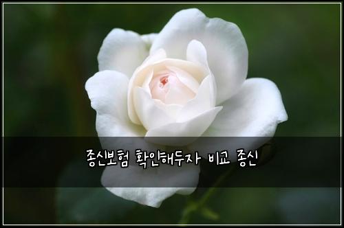 ์ข
์ ๋ณดํ ํ์ธํด๋์ ๋น๊ต ์ข
์
