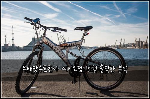 무배당수호천사 씨이오정기보험 솔직한 분석