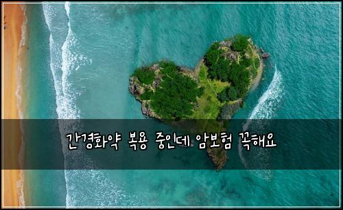 ๊ฐ๊ฒฝํ์ฝ ๋ณต์ฉ ์ค์ธ๋ฐ ์๋ณดํ ๊ผญํด์