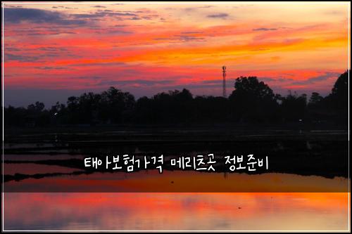 ํ์๋ณดํ๊ฐ๊ฒฉ ๋ฉ๋ฆฌ์ธ ๊ณณ ์ ๋ณด์ค๋น