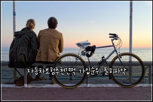 자동차보험추천견적 가입순위 필히파악