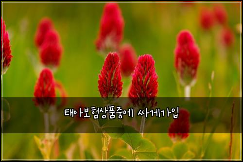 태아보험상품중에 싸게가입