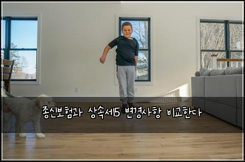 종신보험과 상속세5 변경사항 비교한다