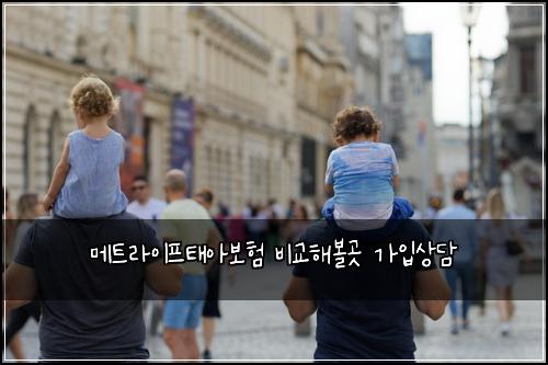 메트라이프태아보험 비교해볼곳  가입상담