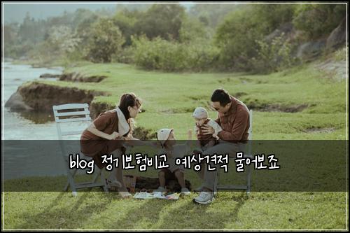 blog ์ ๊ธฐ๋ณดํ๋น๊ต ์์๊ฒฌ์ ๋ฌผ์ด๋ณด์ฃ
