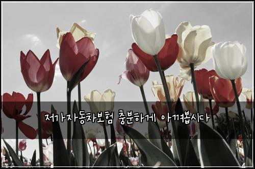 ģ ź°ģė차볓ķ ģ¶©ė¶ķź² ģź»“ė“
ģė¤