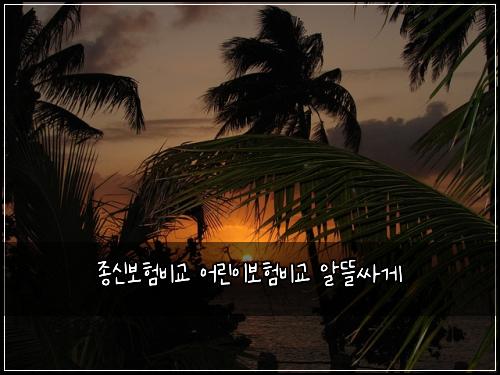 종신보험비교 어린이보험비교 알뜰싸게