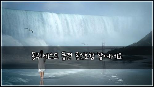 동부 베스트 플랜 종신보험 할때에요 