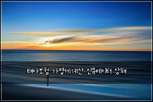 태아보험 가볍게계산  인큐베이터 상해