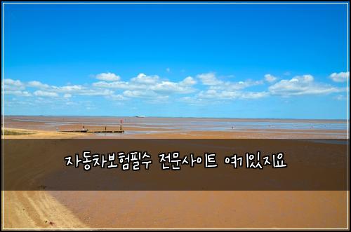 자동차보험필수 전문사이트 여기있지요