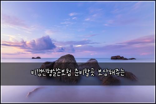 ๋น๊ฐฑ์ ํ์ค์๋ณดํ ์ค๋นํ ๊ณณ ๋ณด์ํด์ฃผ๋