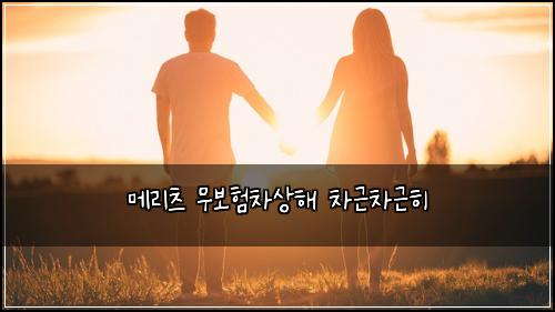 메리츠 무보험차상해 차근차근히