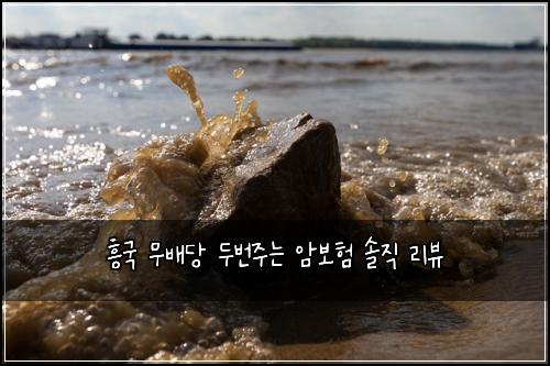 흥국 무배당 두번주는 암보험 솔직 리뷰