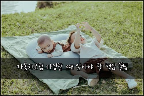 자동차보험 가입할 때 알아야 할 핵심 꿀팁
