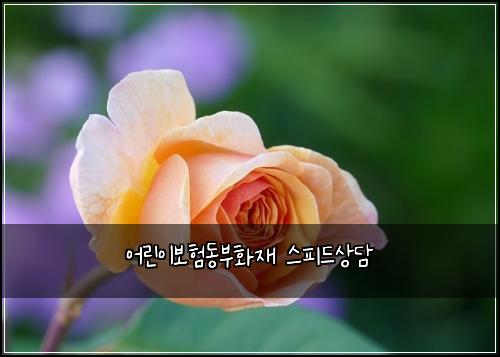 ์ด๋ฆฐ์ด๋ณดํ๋๋ถํ์ฌ ์คํผ๋์๋ด