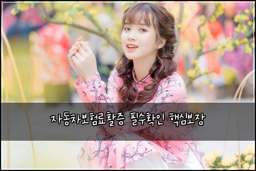 자동차보험료활증 필수확인 핵심보장